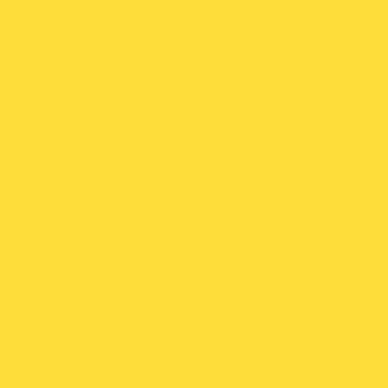 336 Bold Yellow
